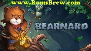 Bearnard Switch NSP