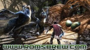 Download Kingdoms of Amalur Re-Reckoning Switch NSP - RomsBrew