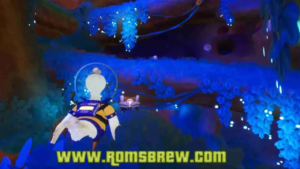 Duck Side of the Moon Switch NSP
