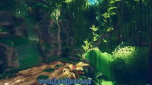 Sky Meadow Switch NSP