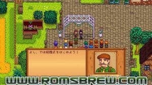 Stardew Valley Switch