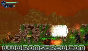 Chronicles of the Wolf NSP ROM