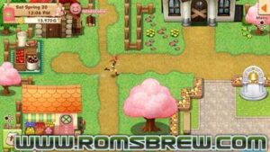 Download Harvest Moon Light of Hope Special Edition NSP - ROMsBrew