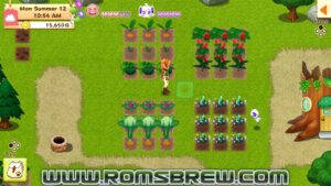 Download Harvest Moon Light of Hope Special Edition NSP - ROMsBrew