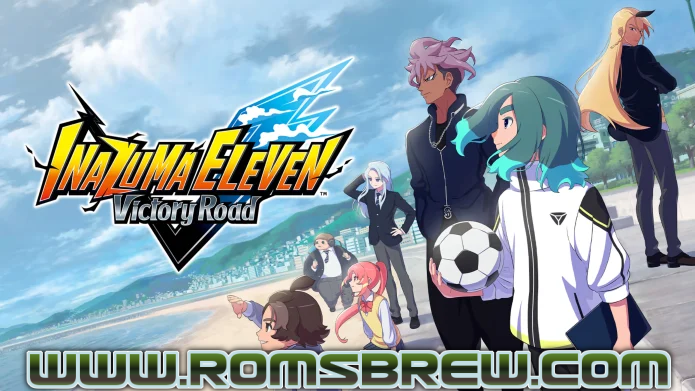 INAZUMA ELEVEN Victory Road NSP