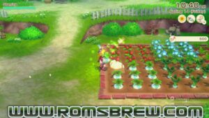 STORY OF SEASONS Grand Bazaar NSP XCI ROM v1.5.0 ROMsBrew